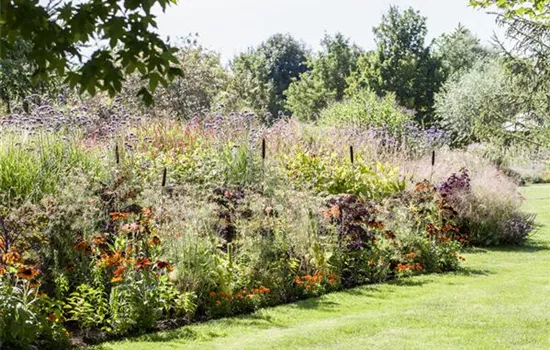 Pflegeleichter Garten: Wohlfühloase trotz wenig Zeit