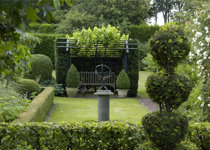 Auf die Form gekommen – Formgehölze im Garten