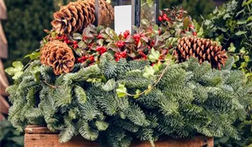 Zum Vergrößern klicken Bildvorschau