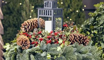 Zum Vergrößern klicken Bildvorschau