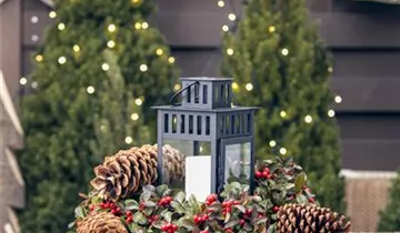 Zum Vergrößern klicken Bildvorschau