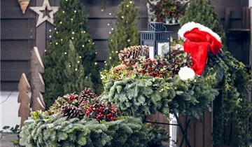 Zum Vergrößern klicken Bildvorschau