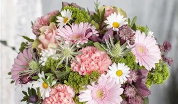 Zum Vergrößern klicken Bildvorschau